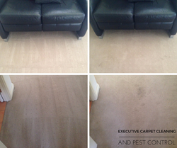 Gold Coast Carpet Cleaner