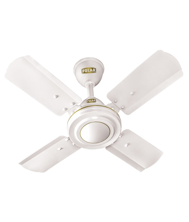 Ceiling Fans Mysite