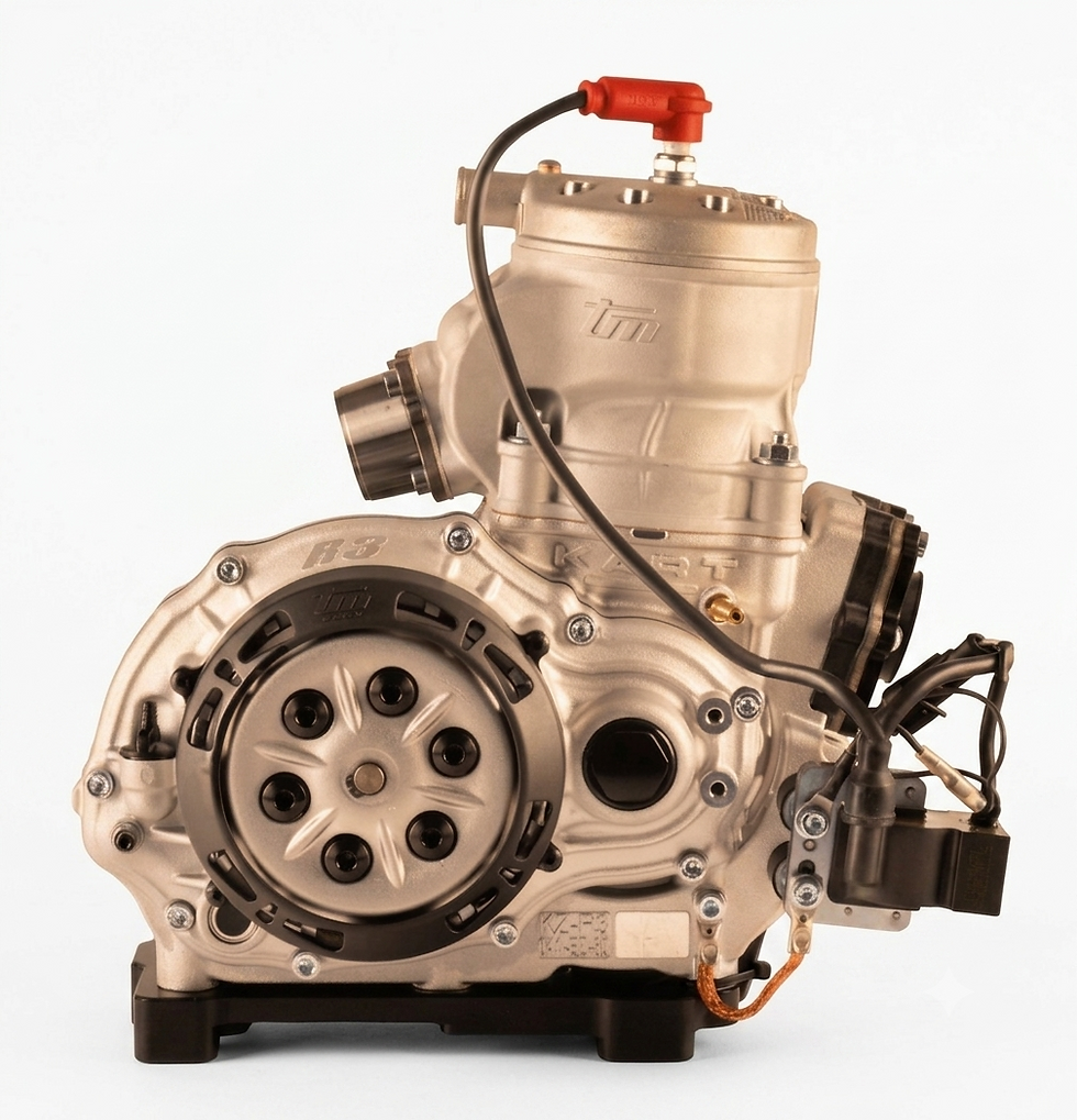 TM R3 Standard Motor