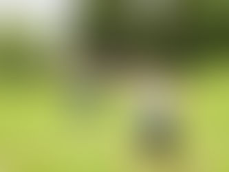 And those unforgettable funny moments,,,,,,