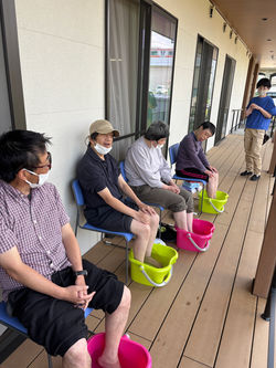 ミモザ⑤