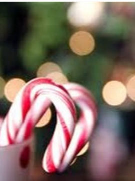 Holiday Candle Search