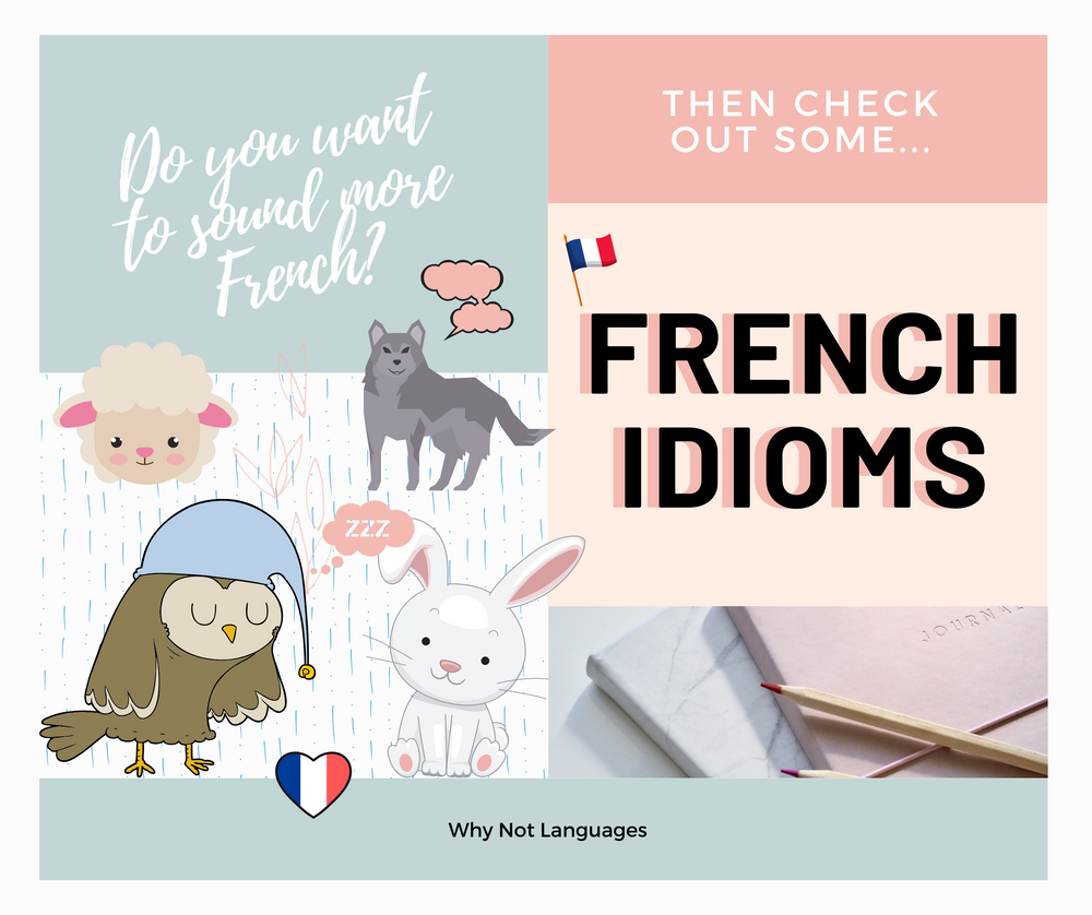 French Idioms