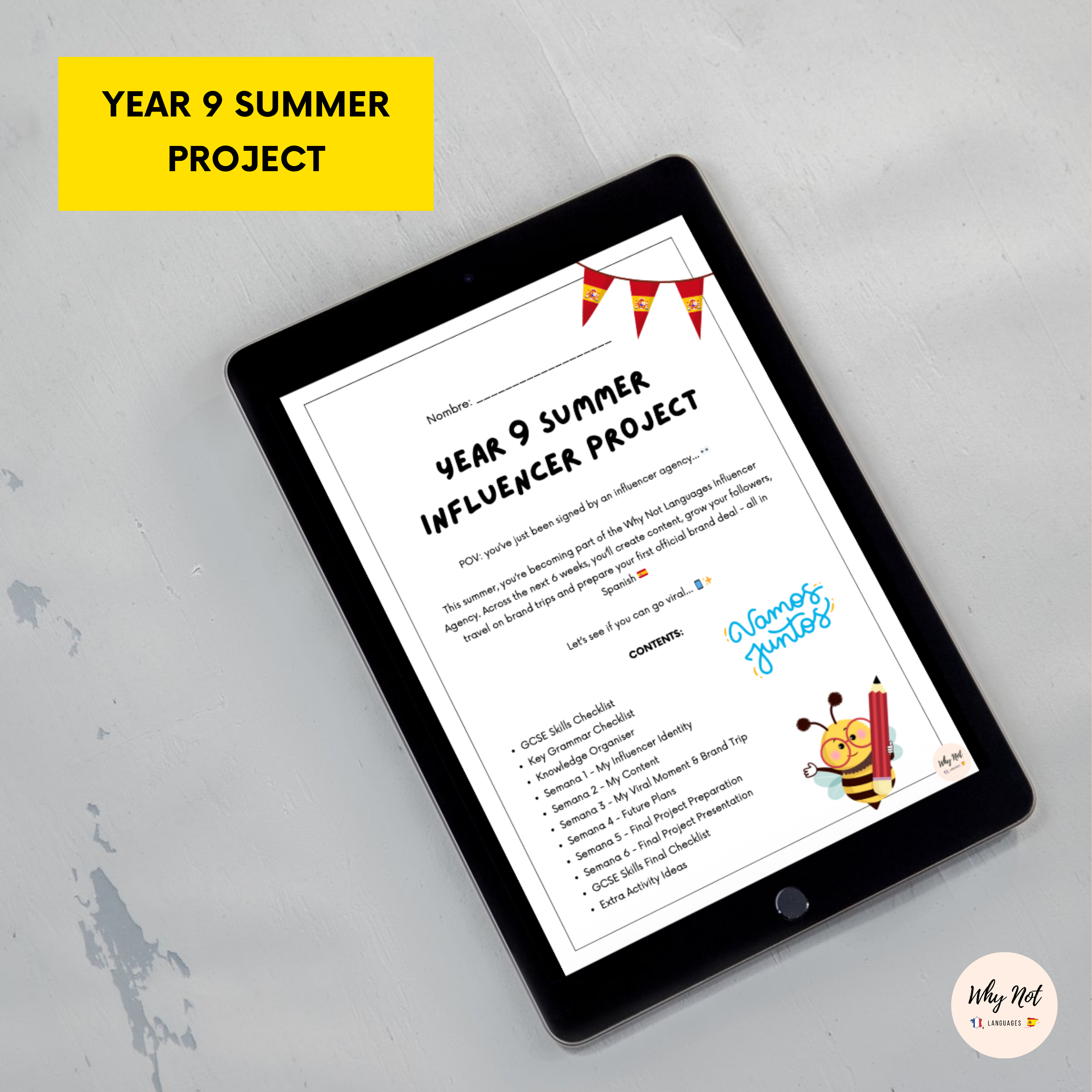 Year 9 Summer Influencer Project