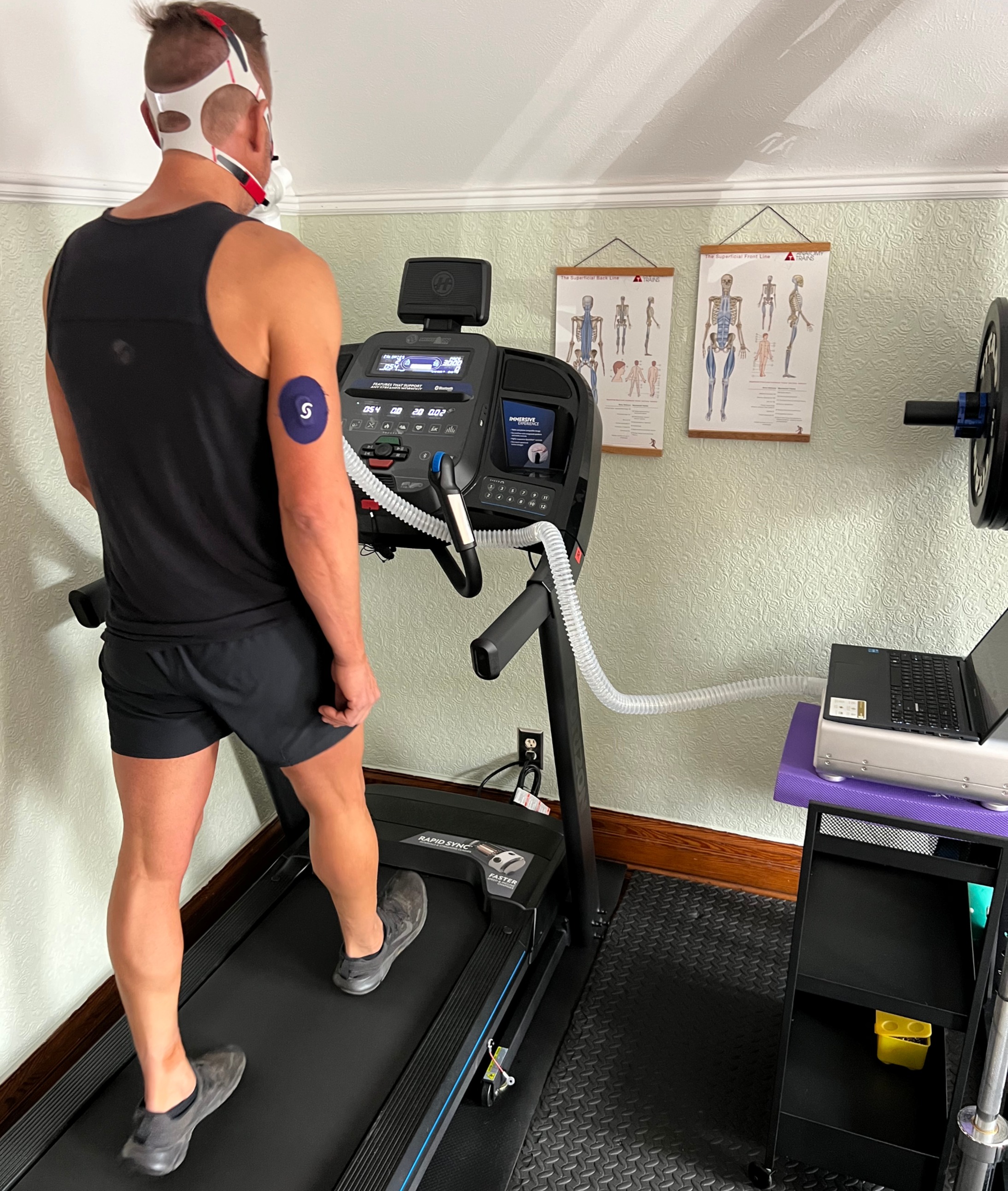 Wren Body Wellness Denver