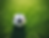 inject-blog-service_1734114904703.png