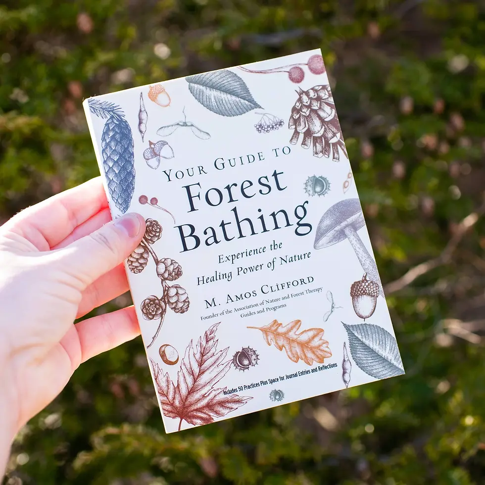 Thumbnail: Your Guide to Forest Bathing by M. Amos Clifford