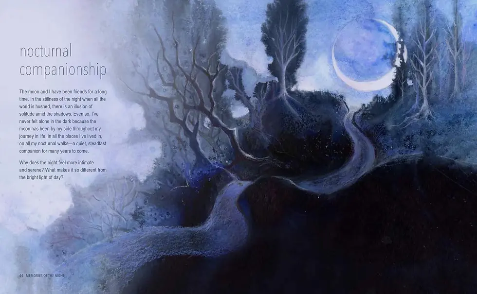 Thumbnail: A Magical Night Journey by Amy T. Won