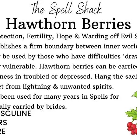 Thumbnail: Hawthorn Berries