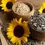 Thumbnail: Sunflower Seeds