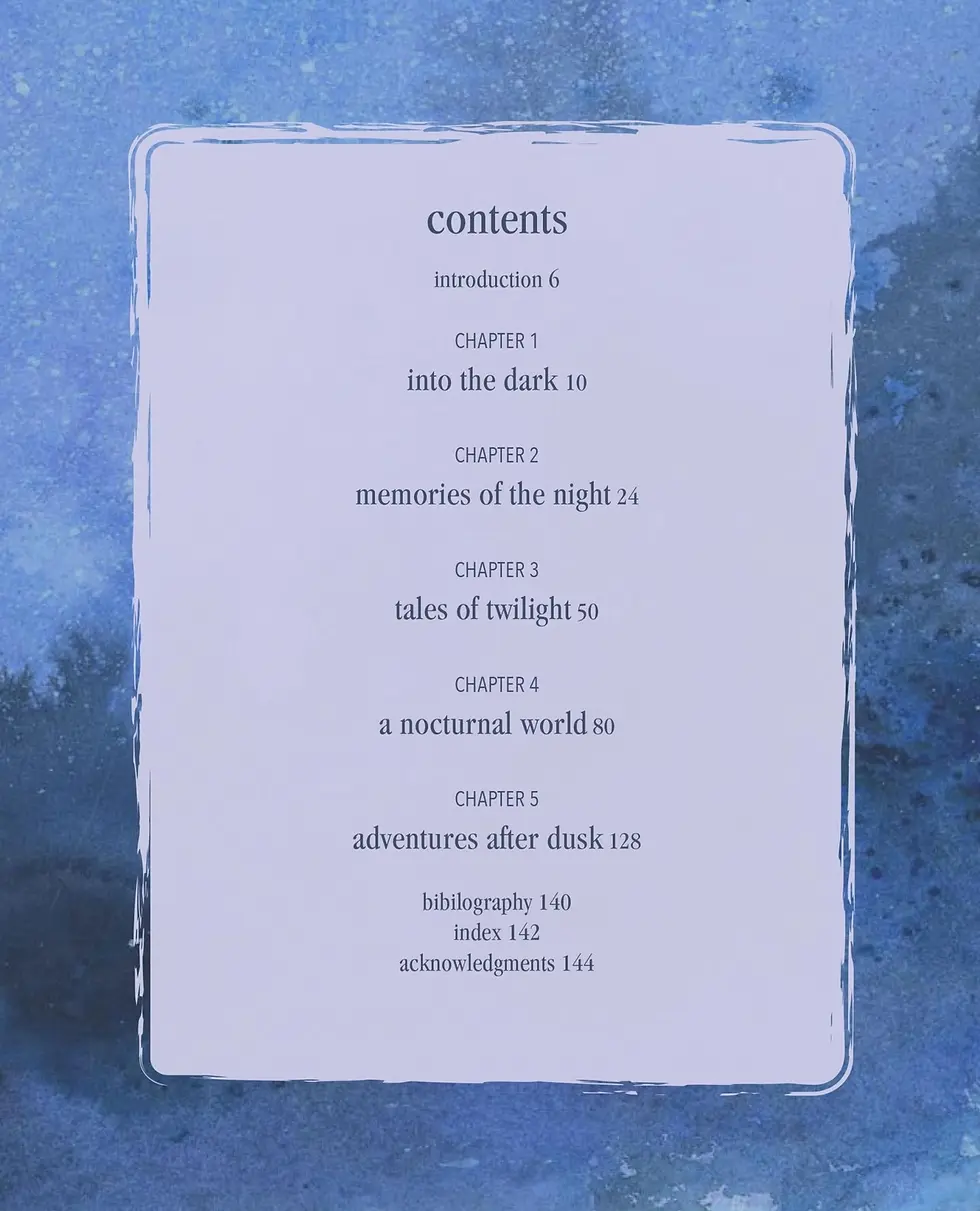 Thumbnail: A Magical Night Journey by Amy T. Won