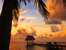 Caye Caulker Coast.png