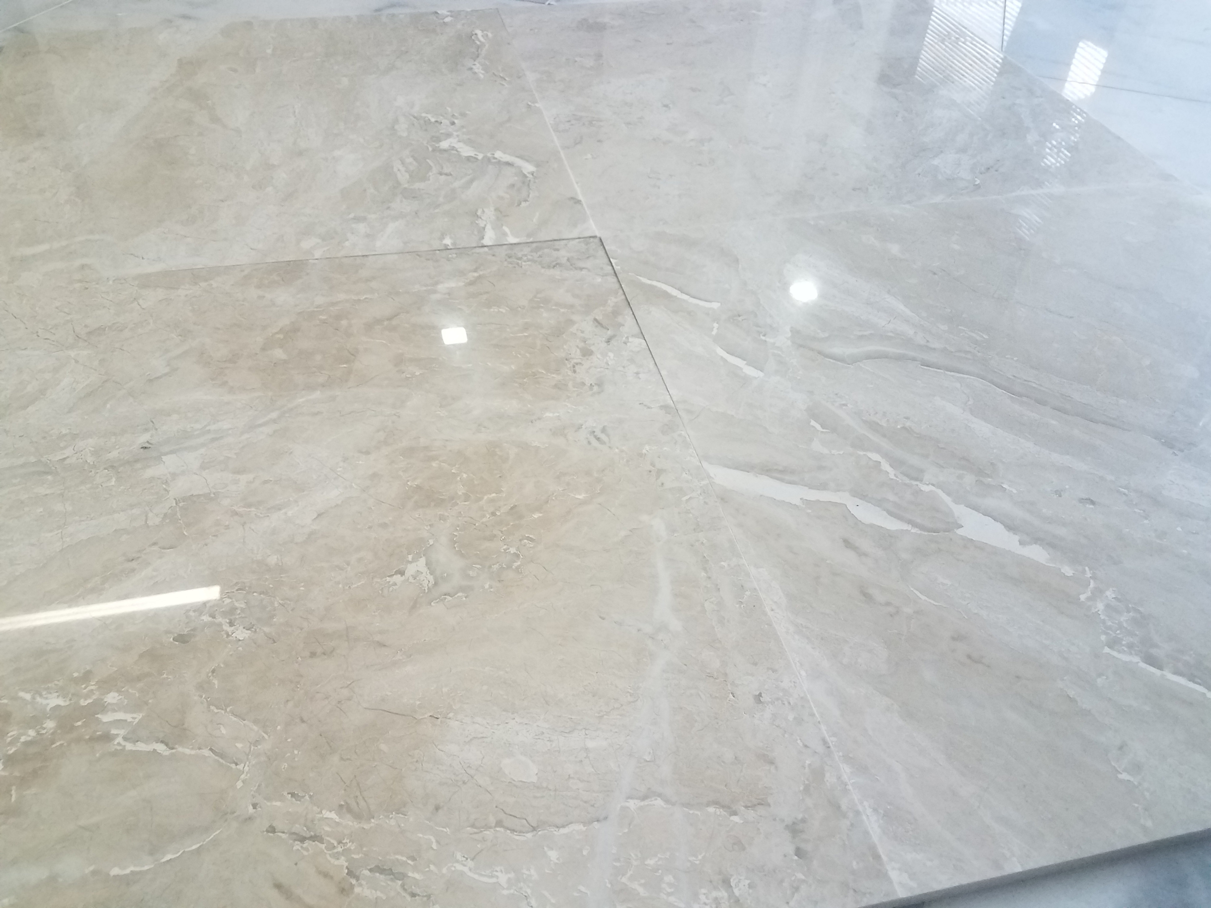 Venezia Royal Marble Tile 24x24 Tile X Stone