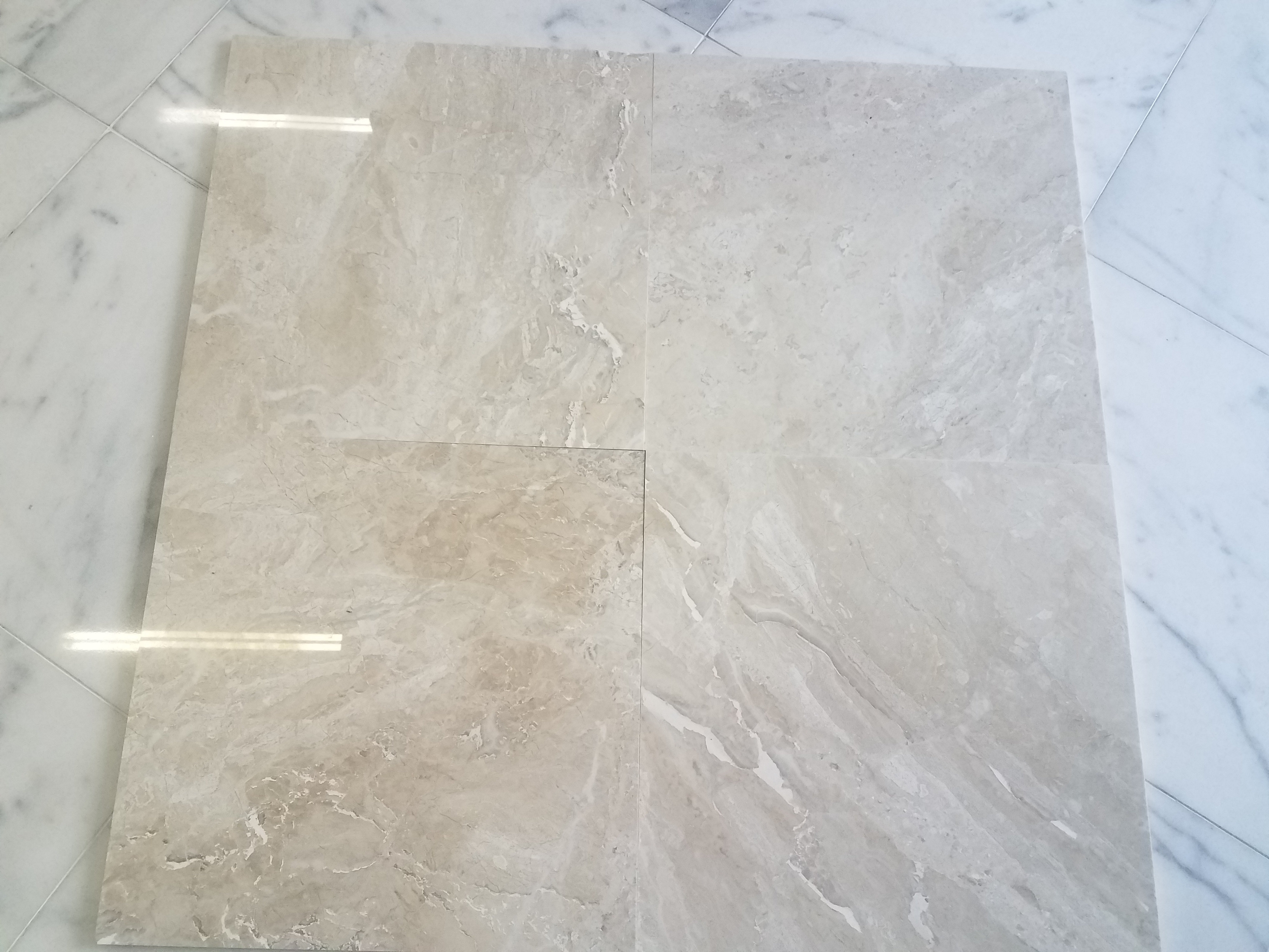 Venezia Royal Marble Tile 24x24 Tile X Stone