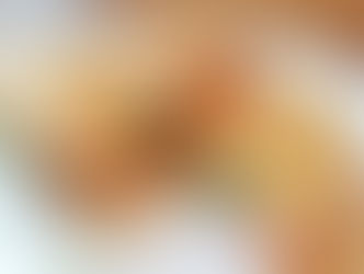 Toasted tomato and mozzarella Panini