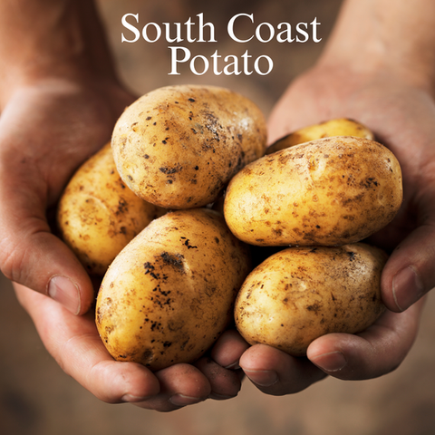 Provenance Potato Supplier