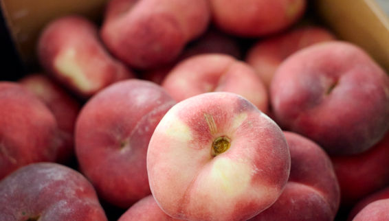 Fresh Flat peach fruit supplier Hampshire