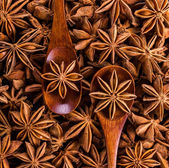 Star anise spices with two wooden spoons on a background, Indian Supplies