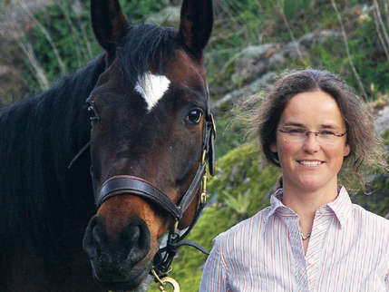 Was können wir von Pferden lernen?