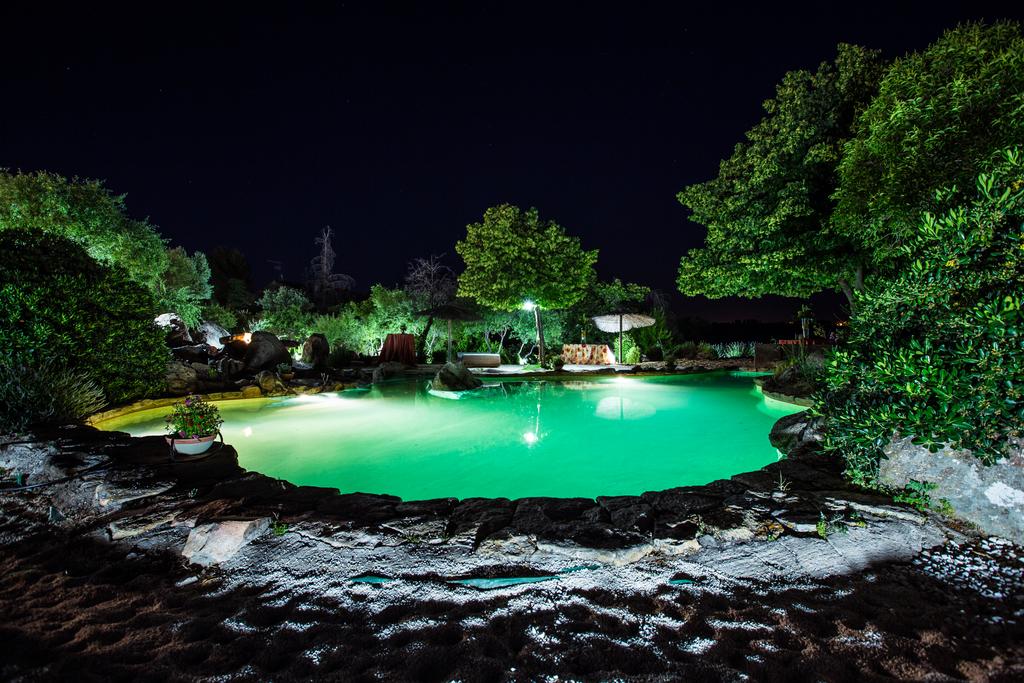 Paellas Gigantes Paella Company Madrid Comunidad de Madrid