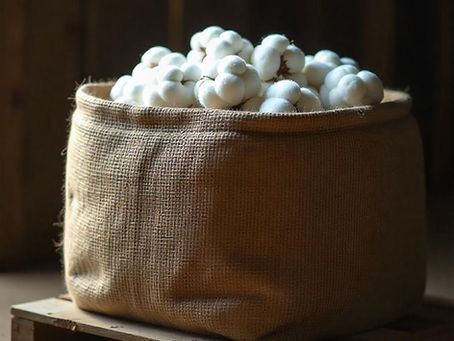 What is the Highest Quality Cotton for Socks?