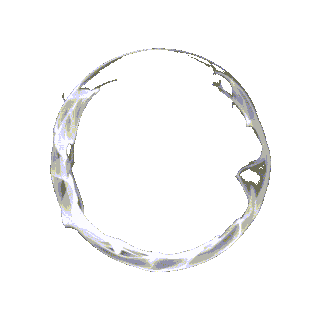 Rahmen-001.gif