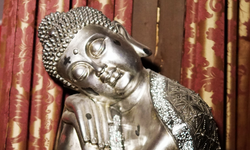 DSC02207_edited_edited