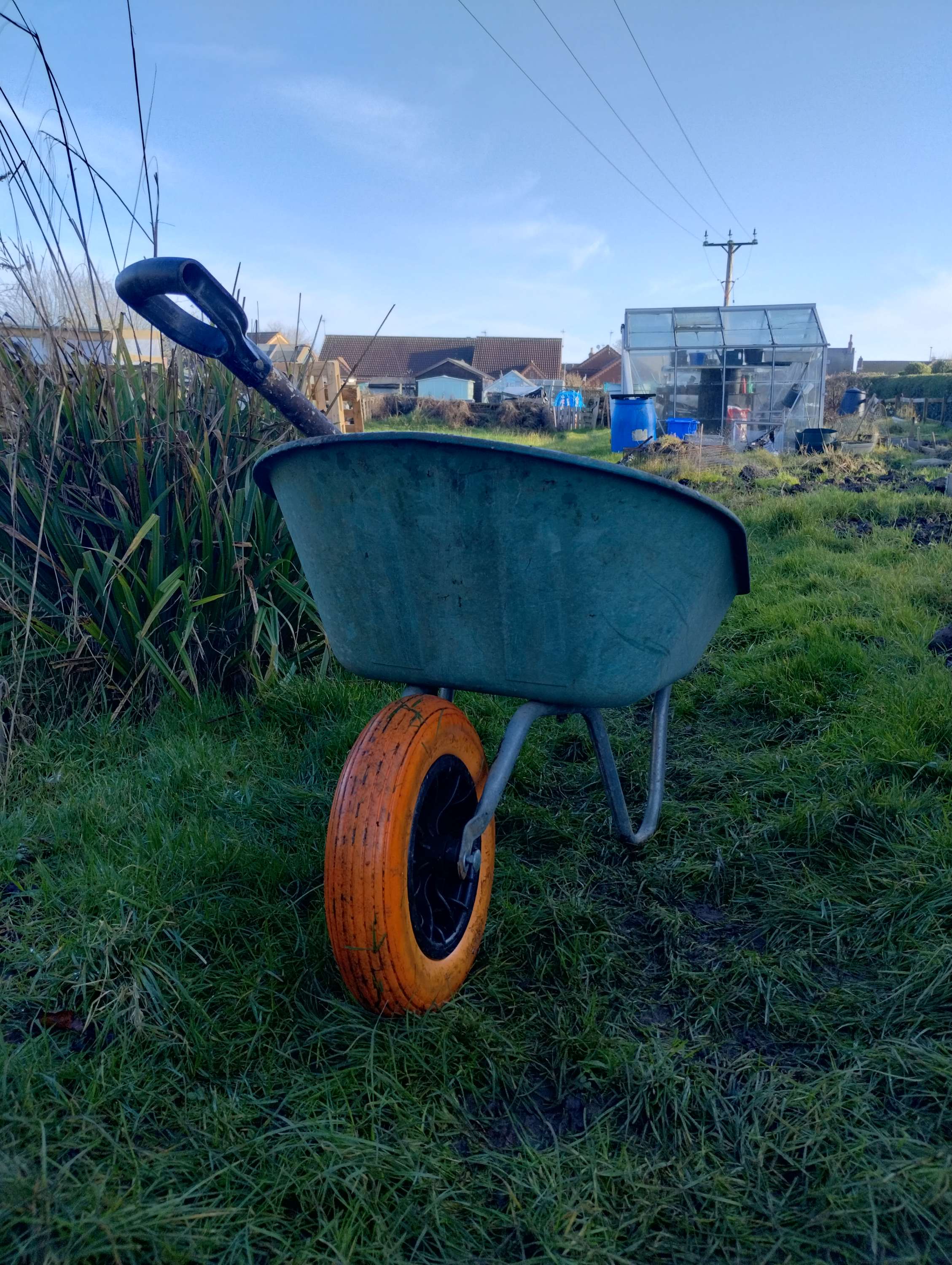 Writer: thesquareroot1