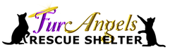 Fur Angels.png