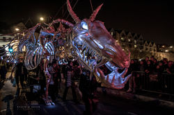 Dragon of Shandon 2016