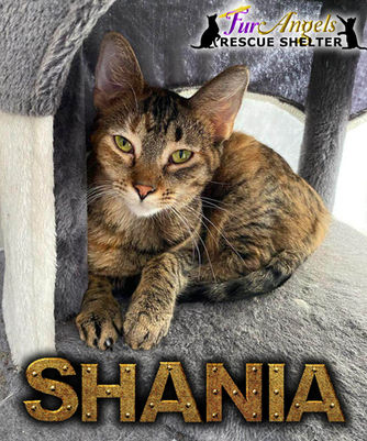 Shania22.jpg