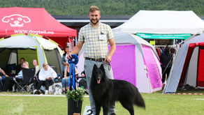 Hvordan regner vi poeng til Årets belger? 