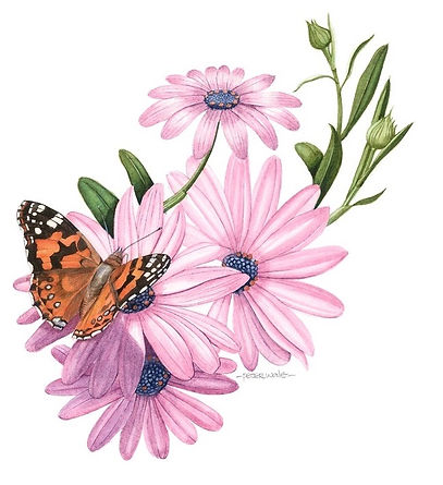 Butterfly and Flowers_no 1 2.jpeg