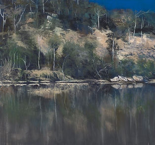 By the Banks of the Shoalhaven - J Wray.jpeg
