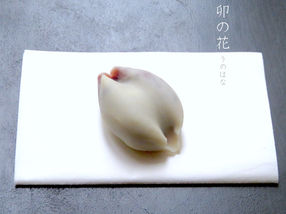 煉切製「卯の花」のご案内