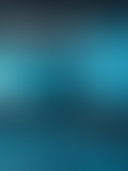 Becoming Digitally Analytical: The Business Edge of Digital Analytical Importance