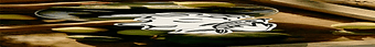 Cru-icons.gif