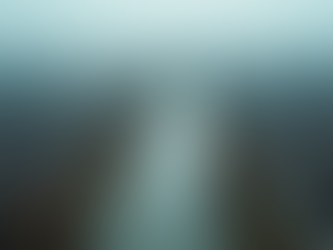 Understanding the Impact of Natural Disasters on Communities and Ecosystems