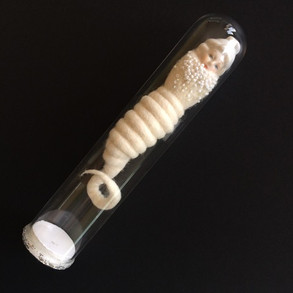 chenille-2.jpeg