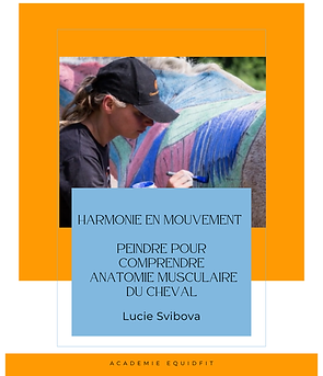 Harmonie en Mouvement Pilates Équin pour la Force et l'Agilité (Publication Instagram (45)