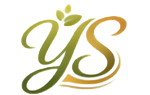 S - 2026-06-06T161748.178.png