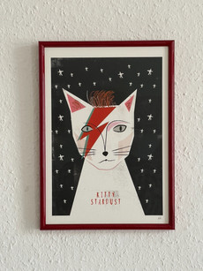 Niaski_Kitty_Stardust.jpeg