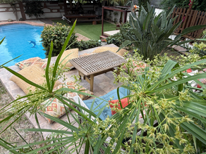 A hidden little oasis made for slow mornings, sunny afternoons, and unforgettable moments in Marbella. 🌿✨ Relax by the pool, unwind in cozy outdoor spaces, and enjoy the peaceful charm of Casa Dulce Vida Marbella.