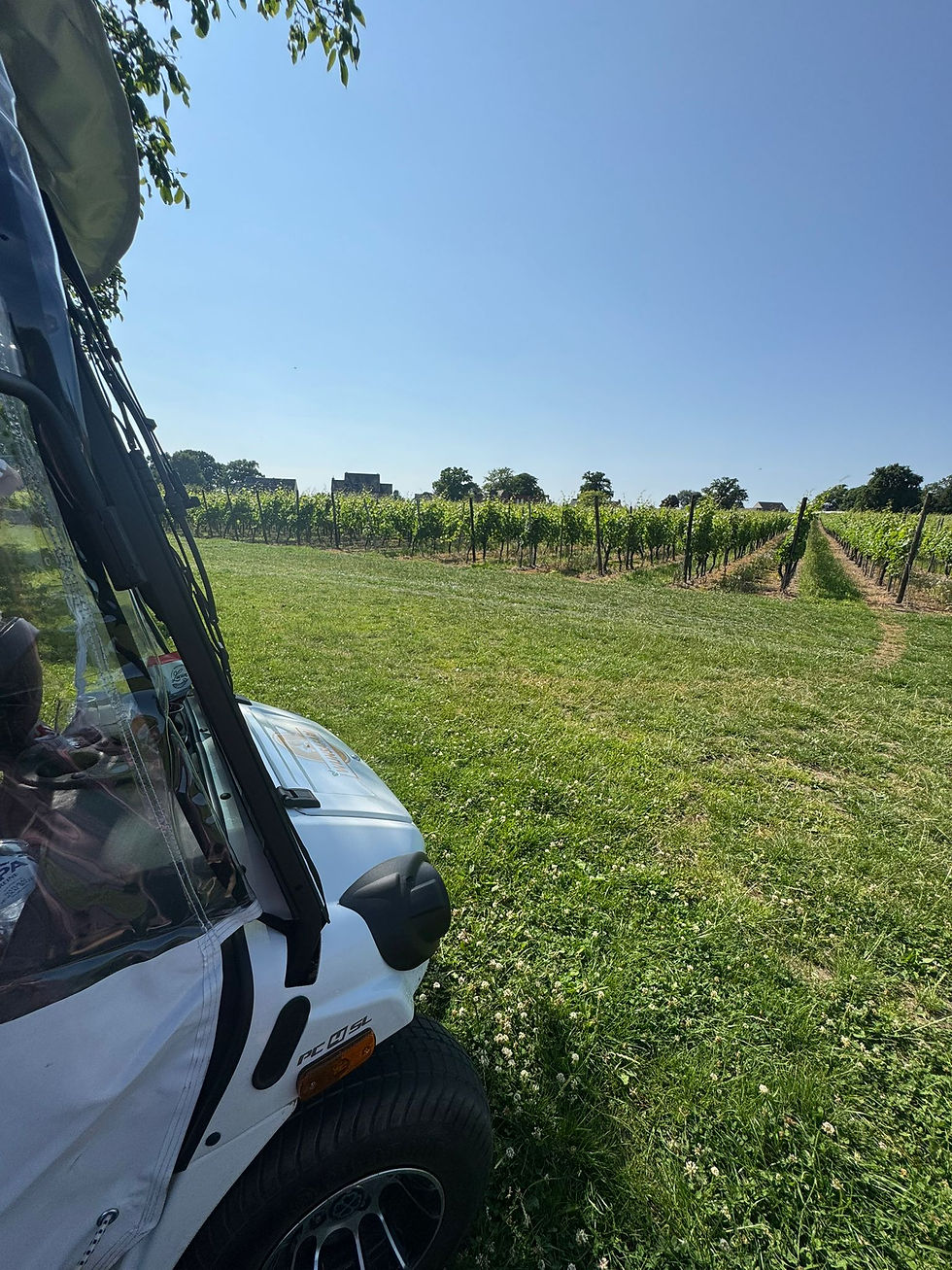 WhatsApp Image 2025-08-18 at 12.49.42.jpeg