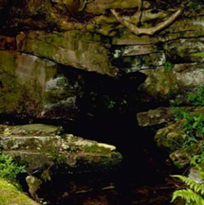 Floral de Bach Rock Water