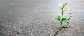 Resilience: What It Is, How to Train It, and Why It’s Essential for Endurance Athletes