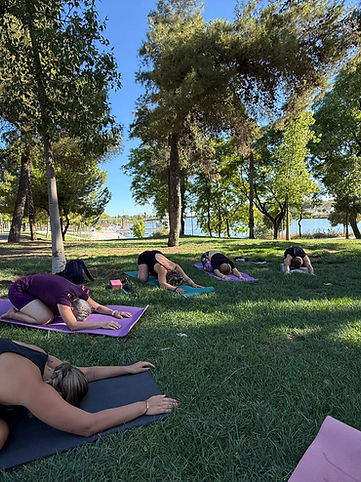 WhatsApp Image 2026-02-02 at 12.16.58 (2).jpeg