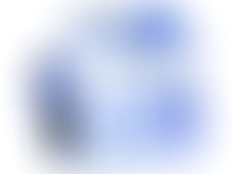 Top 5 mistakes in financial modeling