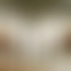 Five people in white outfits stand under a tree, holding hands. The background is a serene landscape at sunset with a warm, tranquil mood.