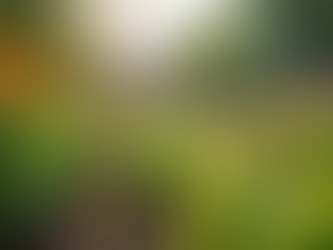 Discover Your Purpose With Born To Make a Difference